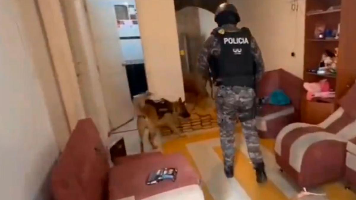 Quito Hallan Explosivos Y Droga En Una Casa De Presuntos Extorsionadores