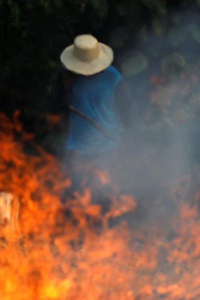 Un hombre intenta contral un incnedio en la selva amazónica en la zona de Iranduba, en el estado brasileño de  Amazonas.