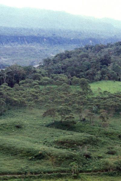 Imagen del espacio en Morona Santiago donde se halló rastros de una ciudad agraria perdida de 2.500 años de antiguedad. 