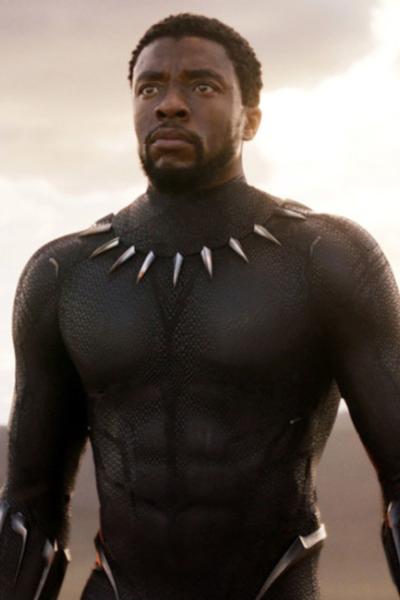 T'challa / Black Panther.