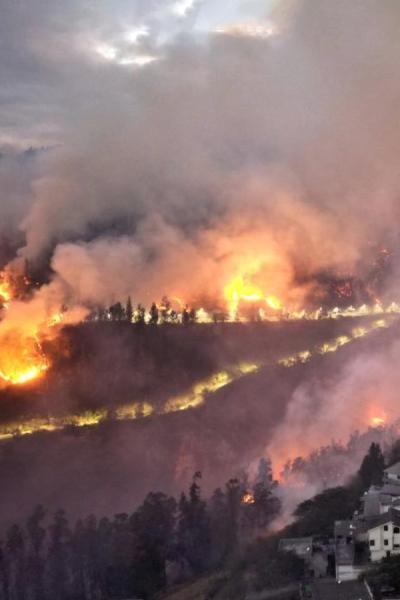 Incendios forestales en Quito en 2024