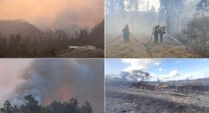 Voraces incendios continúan consumiendo miles de hectáreas en Quito, la mañana del 5 de septiembre. Los bomberos aún no han logrado controlar los incendios forestales en los sectores de Itulcachi, Nayón y Chilibulo, que comenzaron el día anterior.