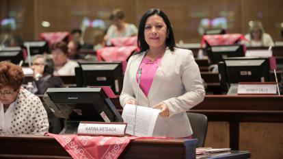 La asambleísta Karina Arteaga (AP), en una sesión del Pleno en octubre de 2017.