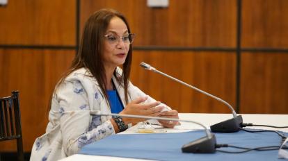 Pierina Correa, asambleísta nacional por UNES, durante la reunión con César Litardo el 21 de abril de 2021.