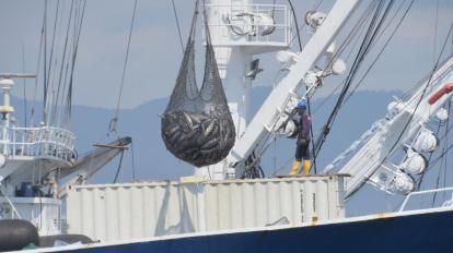 Exportación de atún desde el Puerto de Manta, en Manabí, Ecuador. Foto del 11 de julio de 2022.