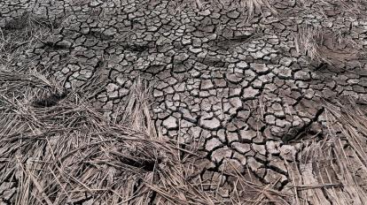 Fotografía del suelo seco donde ha bajado el caudal de una represa en Honduras, el 15 de abril de 2022.