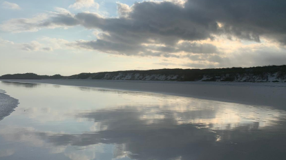 La playa de arena blanca de Tortuga Bay, en Santa Cruz, es uno de los sitios de visita más populares.