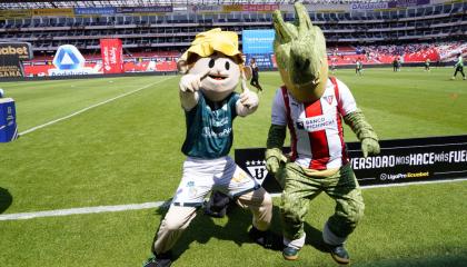 Las mascotas de Orense y Liga de Quito, 'Bananerito' y 'Cocodrigo', antes del partido por LigaPro el 6 de octubre de 2024.