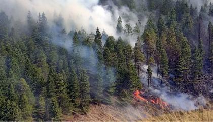 incendio forestal en parque nacional cajas