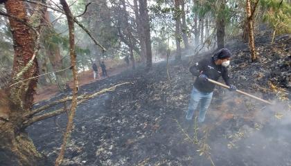 Un grupo de voluntarios apoyó en los incendios en Zamora Huayco, en Loja.