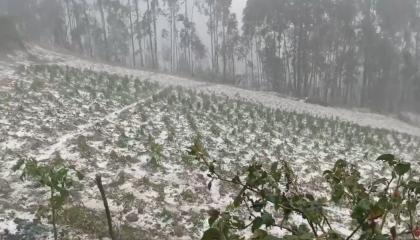 Cubierto de granizo quedó una parcela en la parroquia Chiquintad, en Cuenca, tras la lluvia e intenso granizo de este 27 de noviembre de 2024.