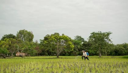 La agricultura estuvo entre las actividades que más inversión extranjera directa captaron en el primer semestre de 2026.
