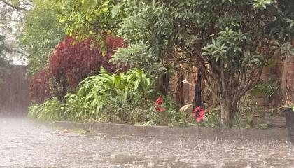 La lluvia que se registra en el sector de Tumbaco, 18 de octubre de 2026.
