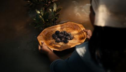 Concha negra, ingrediente que forma parte de la diversa gastronomía ecuatoriana.