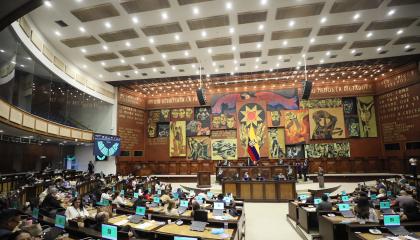 En el Pleno de la Asamblea 114 legisladores votaron el 20 de octubre a favor de las reformas a la Ley de Trata de Personas.