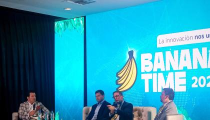 Panel sobre el costo de la caja bananera en Banana Time, el 28 de octubre de 2026.