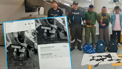 Fotografía extraída del celular de uno de los ciudadanos tailandeses sentenciados en Ecuador, que mostraría un posible comercio ilegal de iguanas marinas de Galápagos.