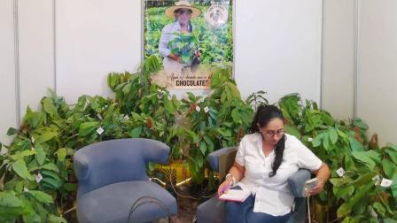 Un vivero de plantas de cacao para uso doméstico consta entre los stands de la feria Chokao en La Puntilla (Samborondón), que reúne productores, exportadores, chocolateros hasta el 27 de agosto de 2026.