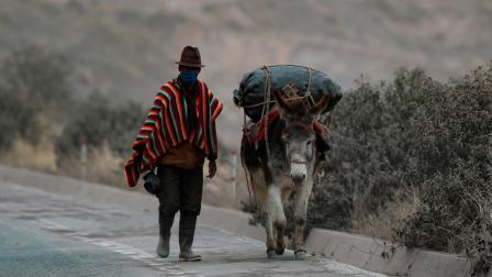 Un campesino camina  con su burro por una carretera cubierta por la ceniza del volcán Sangay, en Alausí provincia de Chimborazo, el 21 de septiembre de 2020.