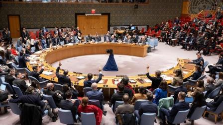 Miembros del Consejo de Seguridad de la ONU votan el 22 de diciembre.