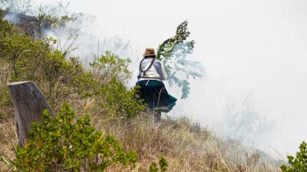 371 alertas de incendios forestales se registran en menos de una semana en Ecuador