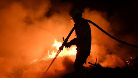 Este es el portal para verificar los incendios forestales en tiempo real en Ecuador