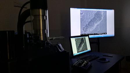Fotografía capturada con un microscopio electrónico de barrido de un fragmento de cemento que forma parte de una investigación de la oficina espacial de la ONU y la Agencia Espacial Europea con la Universidad San Francisco de Quito, en agosto de 2026.
