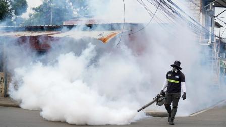 Un trabajador realiza una fumigación durante controles de enfermedades vectoriales como el dengue en febrero de 2026 en la provincia de Guayas.