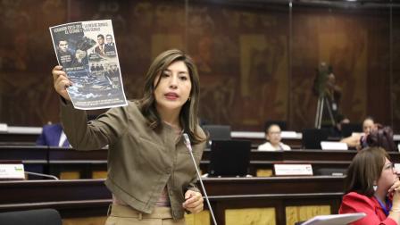 La legisladora de ADN y presidenta de la Comisión de Seguridad, Inés Alarcón, durante el debate de la Ley Antimafias el 27 de agosto de 2026.