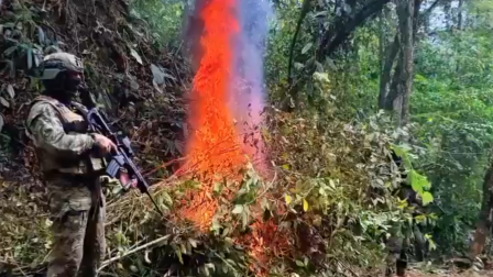 Un militar del Ejército Ecuatoriano vigila la quema de las plantaciones de coca halladas en la parroquia Pacto, en Quito, en agosto de 2026.