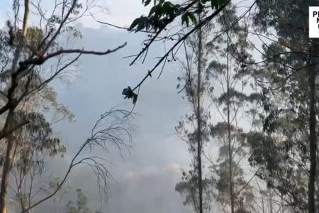 Tertimonios de los afectados por el incendio en Guápulo