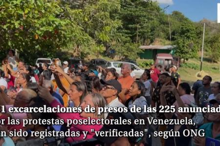 Unas 131 excarcelaciones de presos por las protestas poselectorales en Venezuela han sido registradas y "verificadas" hasta el domingo por la ONG Foro Penal, que lidera la defensa de "presos políticos" en el país.