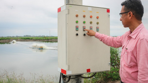 Trabajador de la camaronera Acuamar muestra un tablero eléctrico.