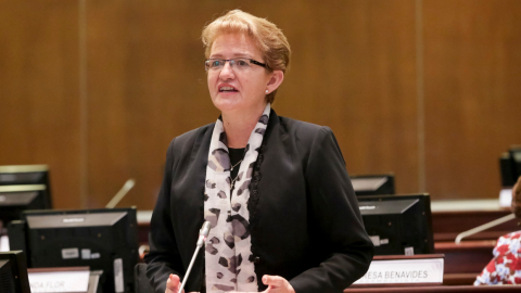 Archivo. Norma Vallejo fue separada de la Asamblea tras la denuncias de coimas en su contra. Hoy, 6 de junio, estuvo en la Corte Nacional.