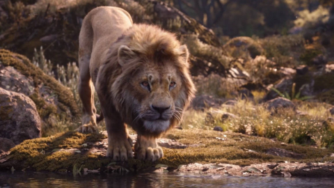 Fotograma de la película El Rey León, de Disney.