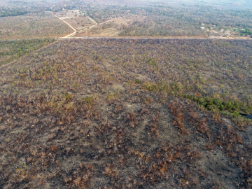 Vista de un área afectada por un incendio en el estado de Mato Grosso (Brasil). 