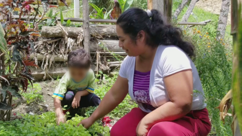 En Ecuador, 418.089 personas reciben el Bono de Desarrollo Humano.