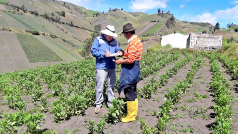 Inversiones en el sector agrícola de la Sierra centro se suspendieron a causa de las manifestaciones. 