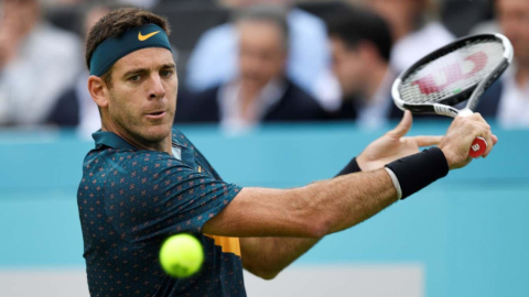 El tenista argentino Juan Martín del Potro, durante un partido en 2017.