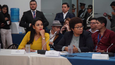 La asambleísta Jeannine Cruz (izquierda) durante la comparecencia de Luis Loyo, el 20 de enero de 2020.