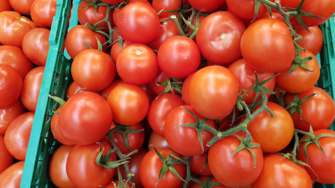 La ONU adviertió, este 3 de abril, del impacto del coronavirus en la cadena alimentaria europea.