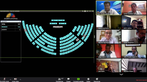 Reunión virtual del pleno de la Asamblea Nacional, 16 de abril de 2020.