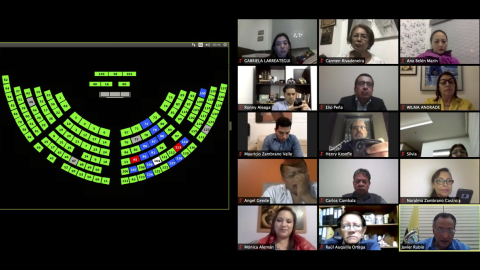 El Pleno de la Asamblea tramitó el veto a la Ley Humanitaria la madrugada del 19 de junio de 2020.