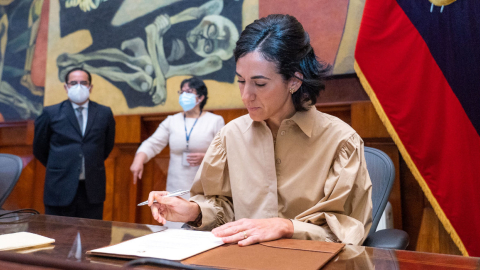 La vicepresidenta María Alejandra Muñoz fue posesionada en la Asamblea Nacional el 22 de julio de 2020.