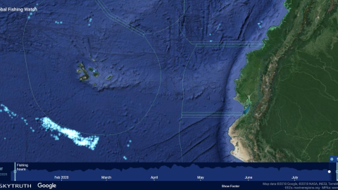 Global Fishing Watch muestra en tiempo real el desplazamiento de las flotas pesqueras en el mundo, se puede observar las que se mantenían al borde del límite marítimo de Galápagos, hasta el 28 de julio de 2020.