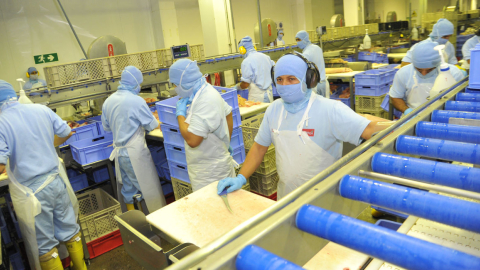 Imagen referencial. Trabajadores en la planta de Pronaca, en Ecuador, en 2014. 