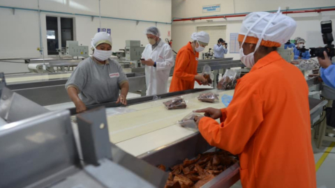 Una planta de alimentos de mascotas en Ecuador, en junio de 2020. 