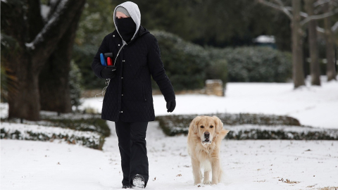 Una mujer camina con su perro en Texas, que ha sufrido un inusual temporal de nieve, el 19 de febrero de 2021. 