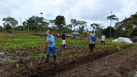 Productores de la Comunidad "San Guillermo", en Pastaza, el 8 de junio de 2021. 