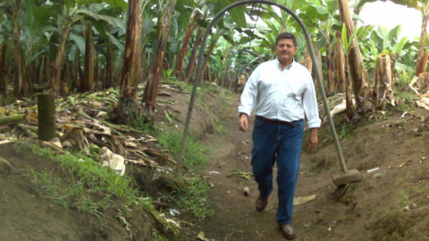 Juan José Pons asesora al gobierno de Guillermo Lasso en temas bananeros.